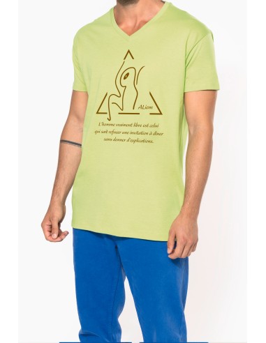 T-shirt Bio150IC col V homme
