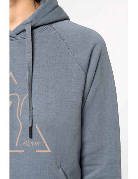 Sweat-shirt capuche raglan femme